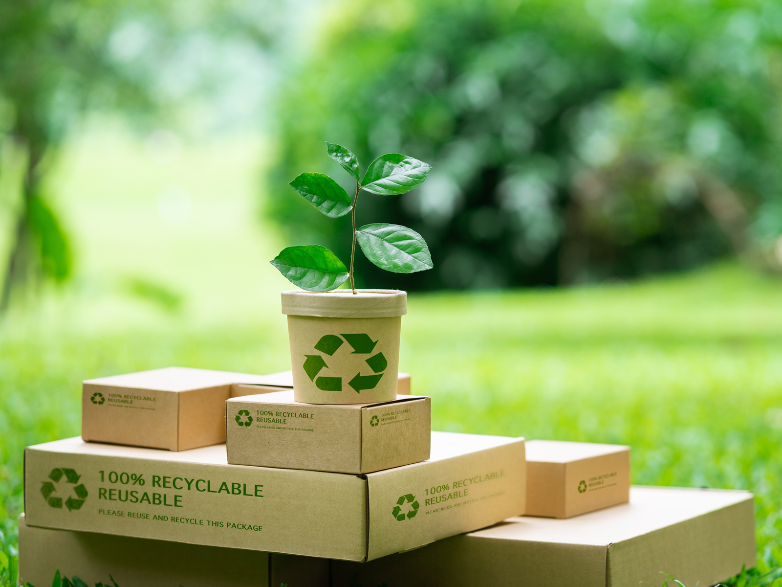 Ecodesign de embalagens: crie opções sustentáveis