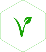 Vegano